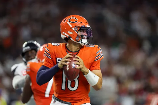 Are the Bears Back?
