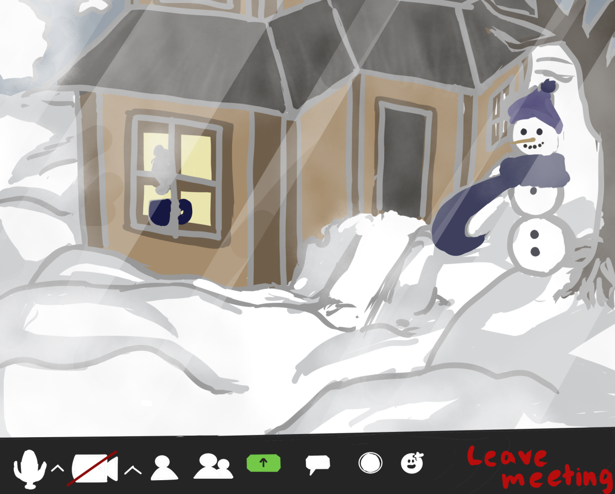 The transition from a joyful snow day spent building snowmen and igloos, to a day filled with online learning.