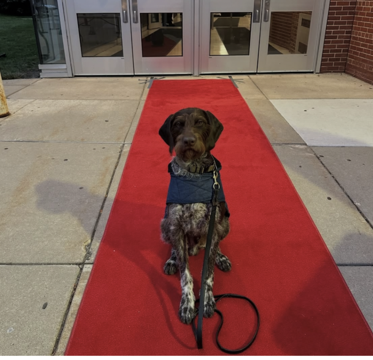 Sue poses outside Highland Park High School ahead of the school’s 2025 homecoming dance